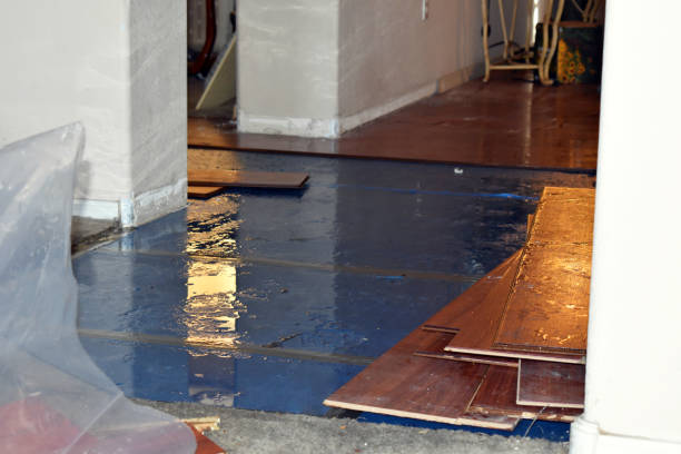 Professional Basement Flood Cleanup technician working in Burlison, TN